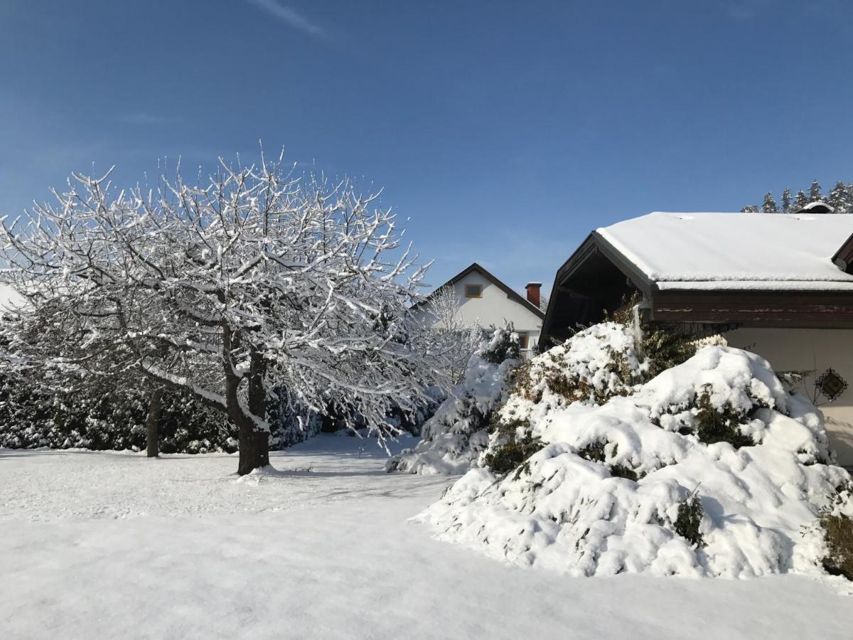 V Gemuetliches Gartenhaus Smihel nad Pliberkom Exteriör bild